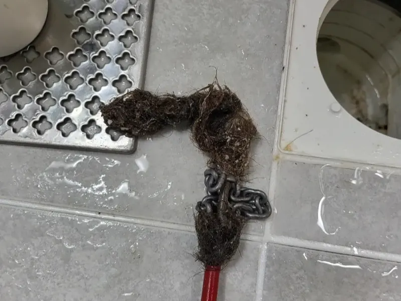 전주 덕진구 바닥 배수구에서 끌어낸 머리카락 뭉치