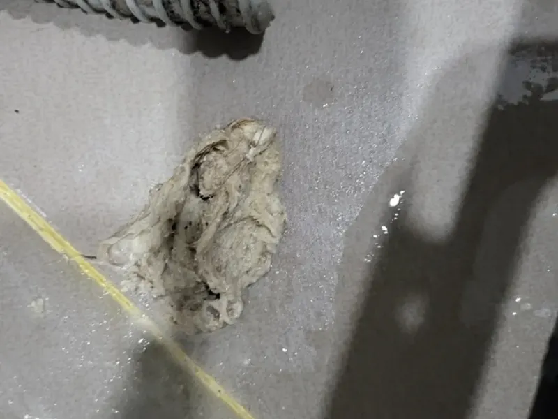 전주 덕진구 배관에서 빼낸 이물질 덩어리